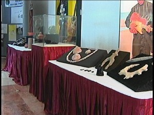 archaeology display 1