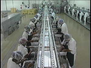 bowen plant