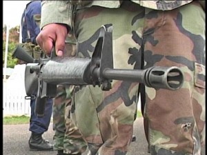 rifle