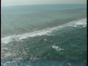 reef
