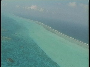 reef