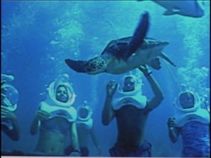 san pedro sea trek 2