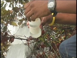san pedro water