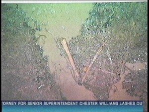 williams scene