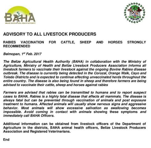 BAHA Watches for Bovine Rabies in North, West | News 5 Belize Archive