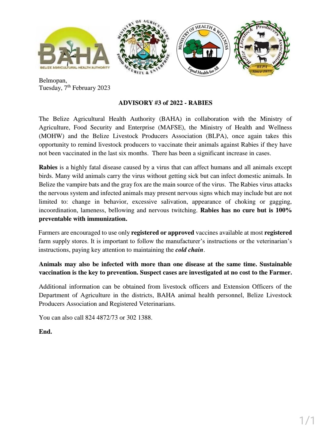 BAHA Reports Significant Increase in Rabies Case | News 5 Belize Archive