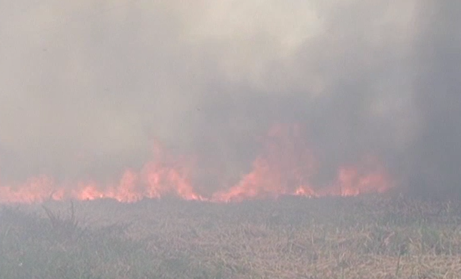 Huge Bush Fire Burning Behind Belama Phase Five | News 5 Belize Archive
